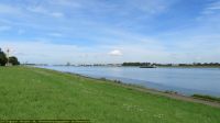 IMG_4571