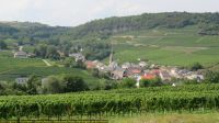 IMG_9871