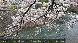 IMG_0758