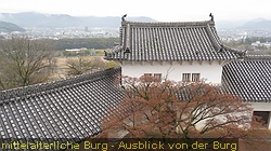 IMG_0912