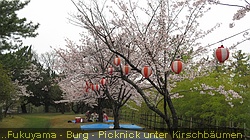 IMG_1081