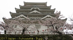 IMG_1084