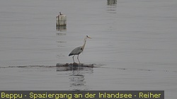 IMG_1134