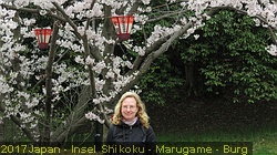 IMG_1429
