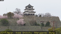 IMG_1436