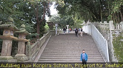 IMG_1492