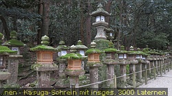 IMG_1685