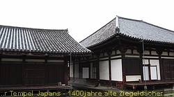 IMG_1784