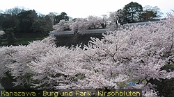 IMG_2071