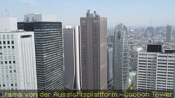 IMG_2958