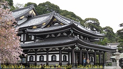 IMG_3264