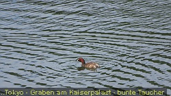 IMG_3431