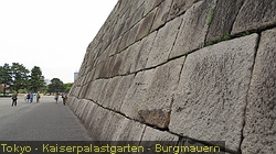 IMG_3451