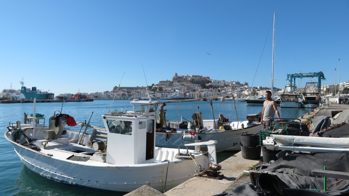 IMG_5446