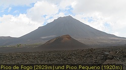 IMG_4449
