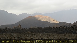IMG_4452