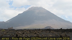IMG_4465