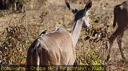 IMG-2759