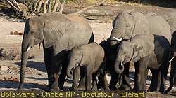 IMG-2930
