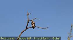 IMG-3157