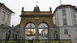 IMG_3912