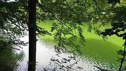 IMG_4770