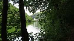 IMG_4773