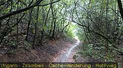 IMG_9650