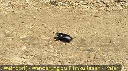 IMG_9737