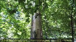 IMG_5327