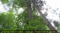 IMG_5357