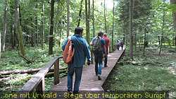 IMG_5392