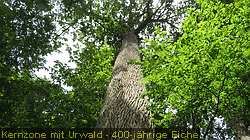 IMG_5395