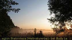IMG_5600