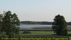 IMG_5623