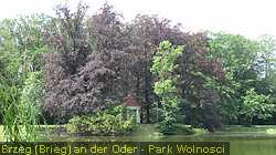 IMG_9054