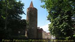 IMG_9107