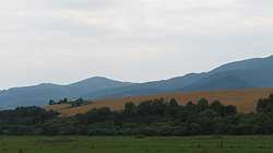 IMG_4983