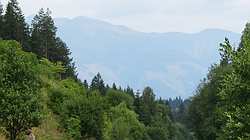 IMG_5050