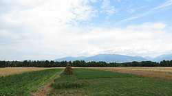 IMG_5052