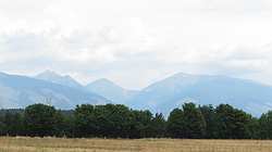 IMG_5056