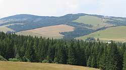IMG_5075