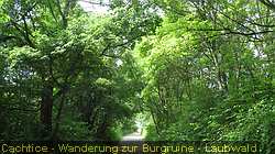 IMG_9407