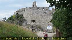 IMG_9410