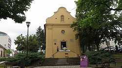IMG_9503